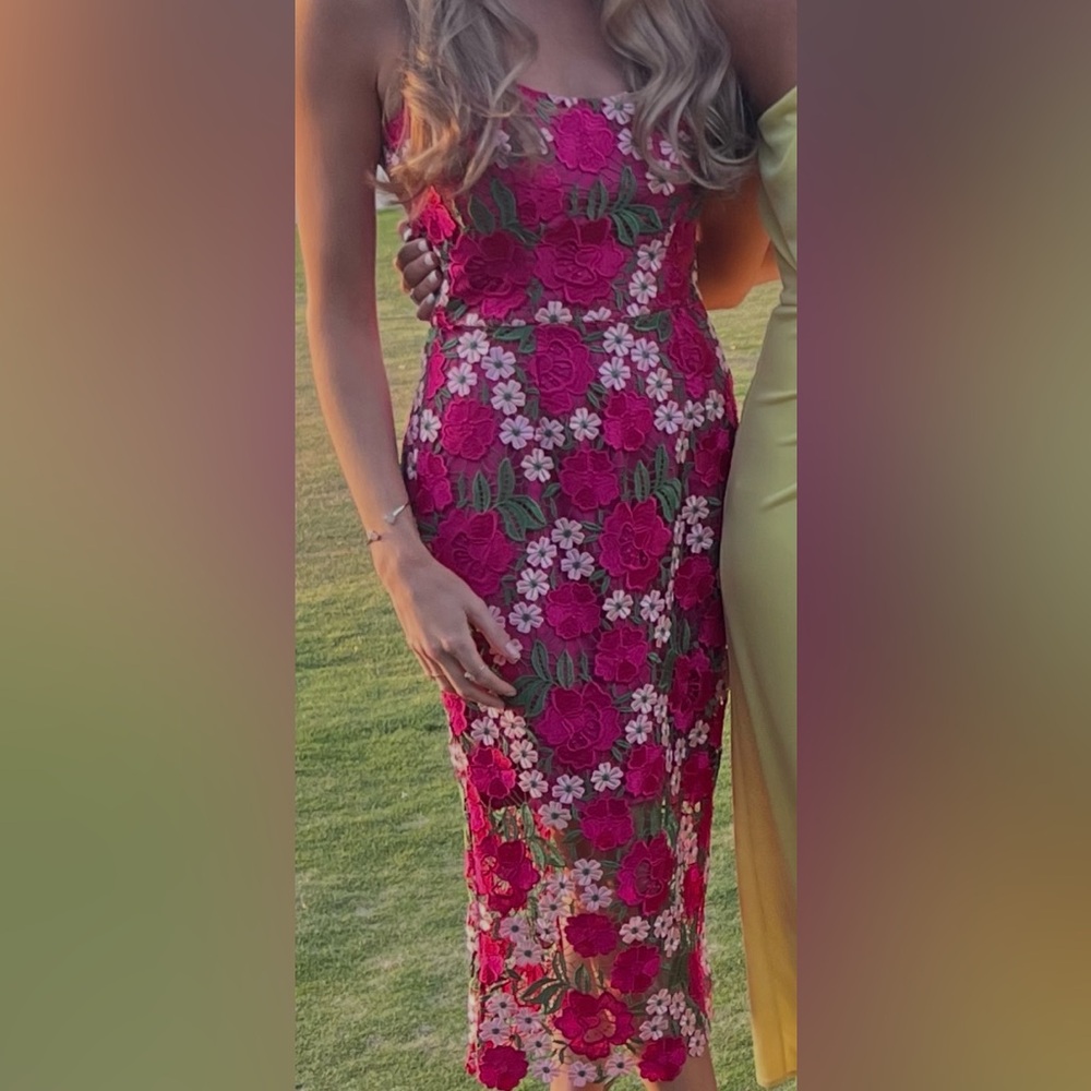 Dress the Population Pink and Green Embroidered Floral Midi Dress - Picture 2 of 2